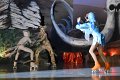 Lionking 0173